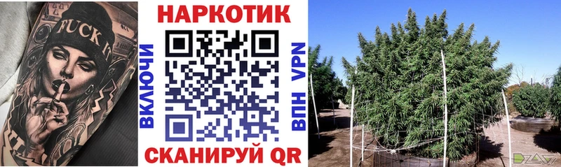 Галлюциногенные грибы Слюдянка