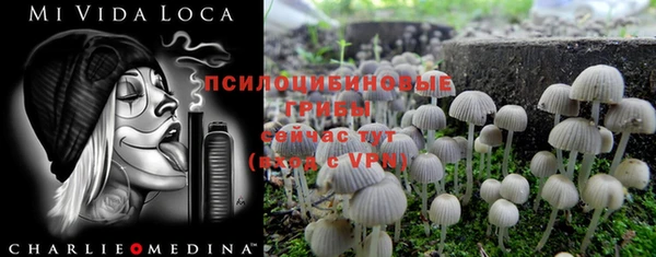 PSILOCYBIN Усолье-Сибирское
