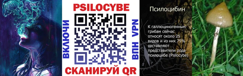 Псилоцибиновые грибы мицелий  Слюдянка 